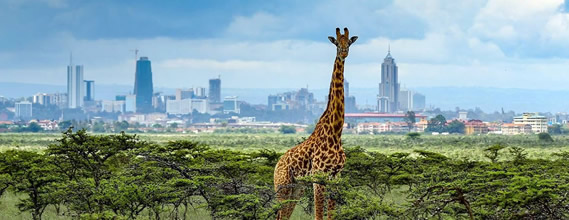 nairobiskyline1